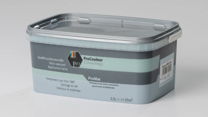 peinture magasin discount